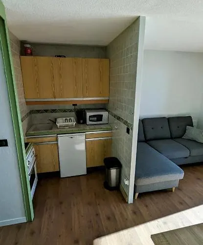 Au Pied Des Pistes Avec Panorama Sur Les Montagnes